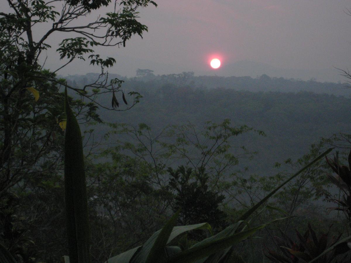 Yacumaman Sanctuary Villa ตาราโปโต ภายนอก รูปภาพ
